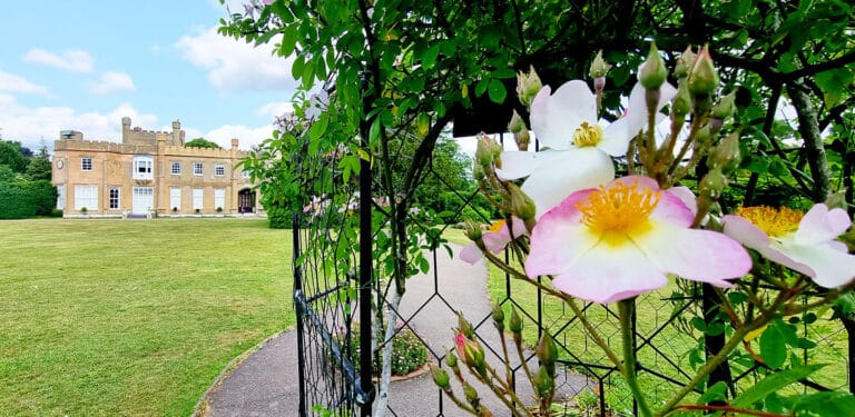 Local SEO for Wedding Venue - Affordable SEO for Wedding Venues